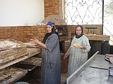 Lupo Egitto 056